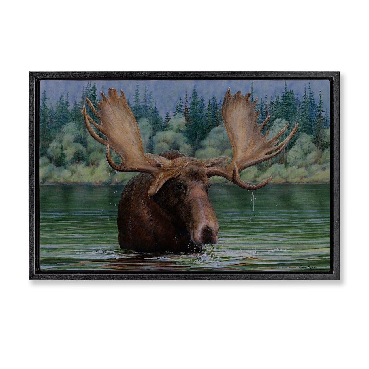 Stupell Industries Moose Swimming in Lake Floater Framed Canvas Wall Art Design by Valerie Rogers